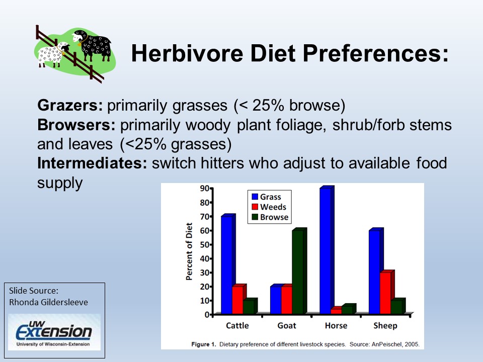 Herbivore diet preferences slide image